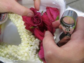 Pour rappel aux voyageurs, une nouvelle réglementation européenne vous interdit d importer du matériel végétal en provenance 