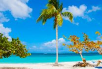 
La République dominicaine confirme son statut de destination phare en Amérique latine. En 2025, le pays a accueilli 11,7 mill