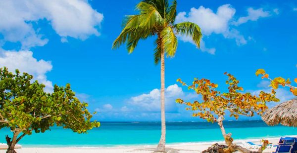 

 Le pays le plus cher pour voyager dans le monde en 2025 serait la Barbade (ou Barbados), une île des Caraïbes, selon une étu