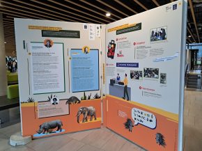 
Les douanes françaises ont récemment intercepté dans les aéroports de l hexagone divers objets rares et précieux issus d’a