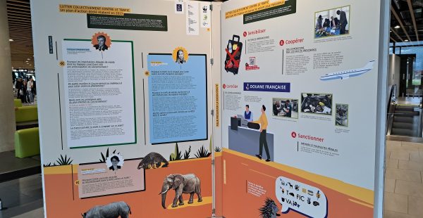 
Les douanes françaises ont récemment intercepté dans les aéroports de l hexagone divers objets rares et précieux issus d’a