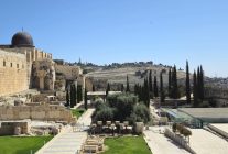 
Le tourisme israélien montre des signes de redémarrage depuis le cessez‑le‑feu du 10 octobre entre Israël et le Hamas dans