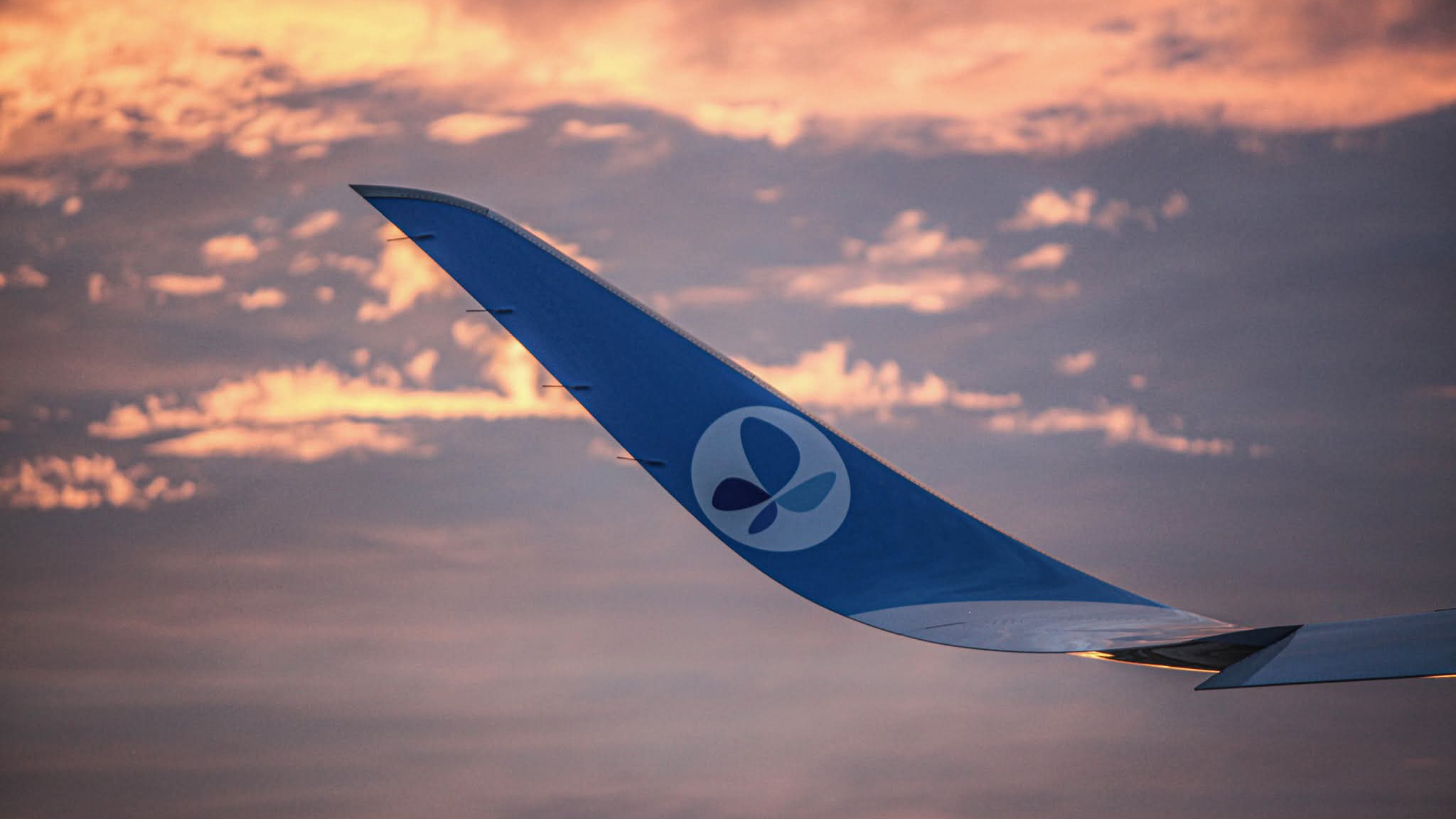 Montréal : un agent de piste tué lors du repoussage d’un Airbus A350 de French bee 1 Air Journal Montréal : un agent de piste tué lors du repoussage d’un Airbus A350 de French bee 1 Air Journal