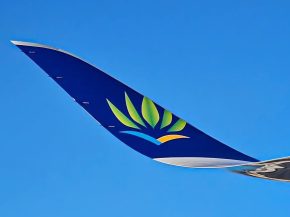 
Air Caraïbes va ouvrir cet été une liaison directe saisonnière entre Fort‑de‑France et Saint‑Martin Grand Case, opéré