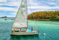 
Pour la saison hivernale 2025-2026, les compagnies aériennes françaises déploient une offensive majeure vers les Antilles fran