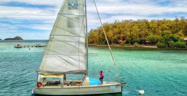 Pour la saison hivernale 2025-2026, les compagnies aériennes françaises déploient une offensive majeure vers les Antilles fran