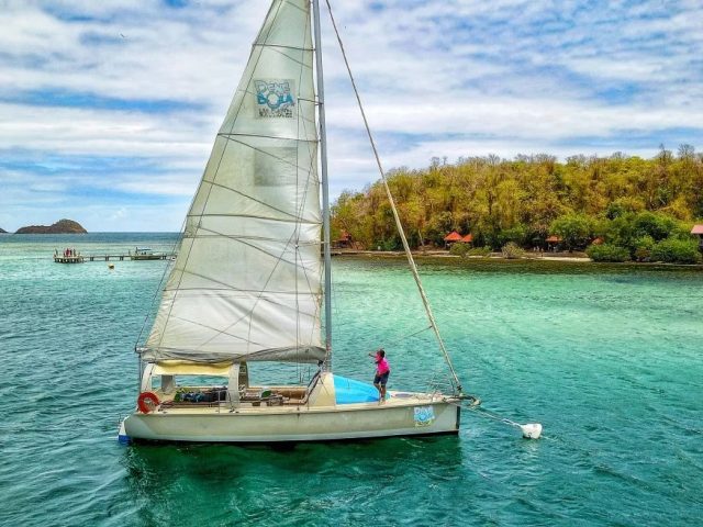Voyage en Martinique : fréquentation record à l’aéroport de Fort-de-France 5 Air Journal