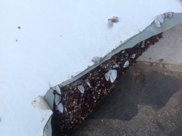 air-journal mh370 777 ile maurice 5