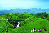 


Après des années marquées par des troubles économiques et sociaux, le Sri Lanka effectue un grand retour sur la scène tour