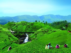 


Après des années marquées par des troubles économiques et sociaux, le Sri Lanka effectue un grand retour sur la scène tour