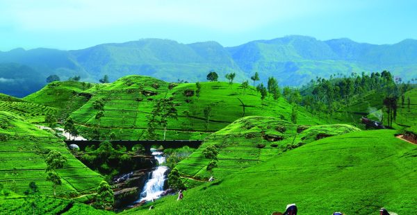 


Après des années marquées par des troubles économiques et sociaux, le Sri Lanka effectue un grand retour sur la scène tour