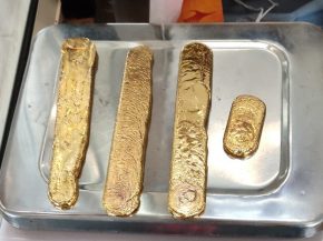 C’est une découverte pour le moins surprenante faite par les douaniers de l’aéroport de Cannanore&nbsp;(ou Kannur), une vill