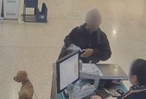 
Une passagère américaine est poursuivie pour avoir abandonné son chien à l’aéroport de Las Vegas, après s’être vu refu