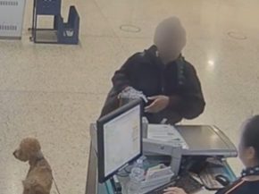 
Une passagère américaine est poursuivie pour avoir abandonné son chien à l’aéroport de Las Vegas, après s’être vu refu