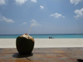 
La Réunion, île de l océan Indien, offre une diversité de paysages époustouflante, dont de magnifiques plages. Voici une sé