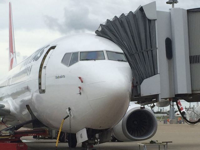 Insolite : des guêpes menacent la sécurité des avions en Australie 1 Air Journal