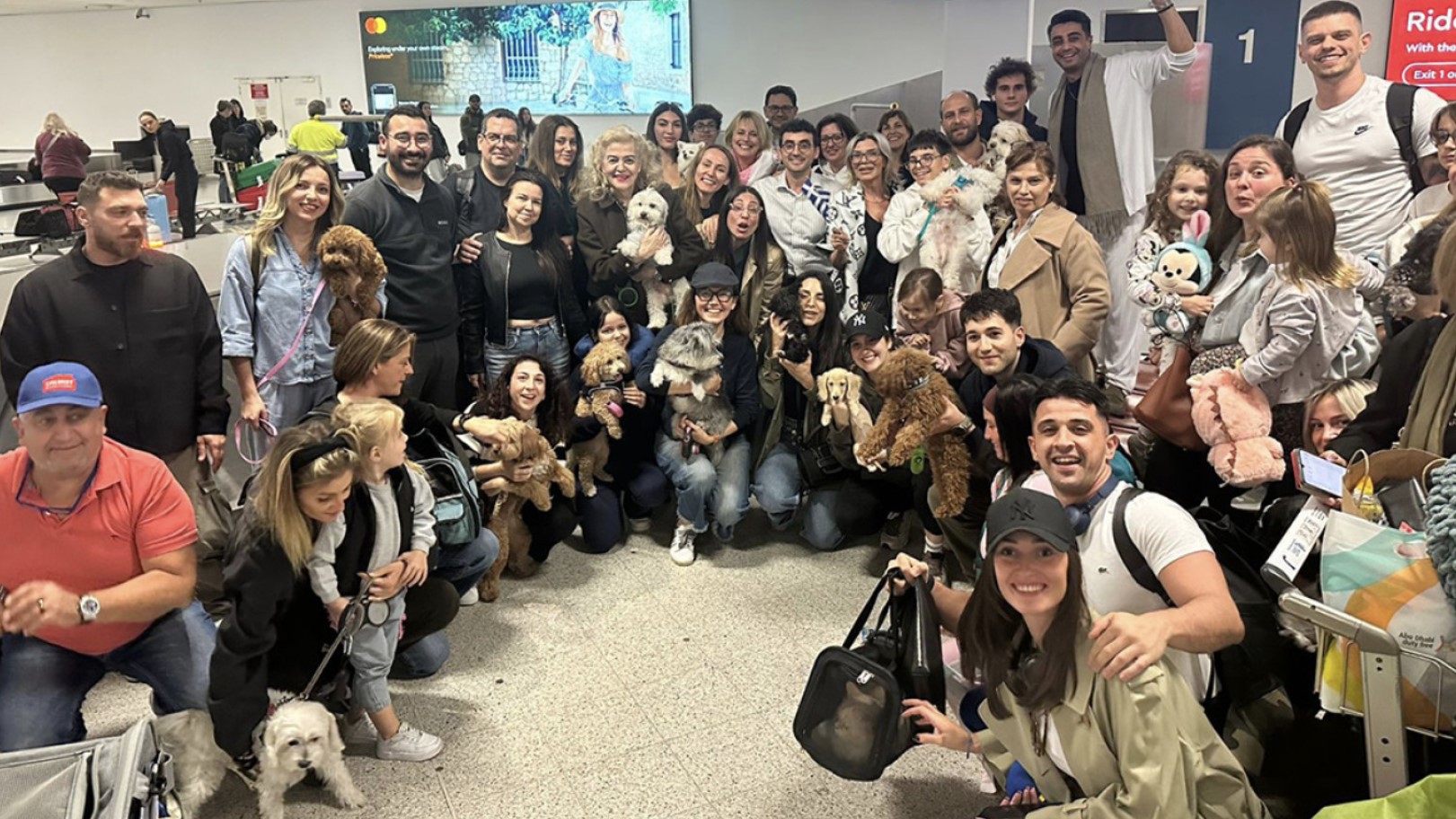 Guerre au Moyen-orient : Aegean Airlines rapatrie 45 animaux de compagnie et leurs propriétaires depuis Abou Dhabi