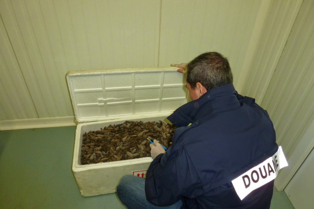 air-journal saisie-170-tortues-etoilees-roissy