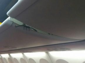 Jeudi dernier, les passagers d’un vol Lion Air reliant les villes de Pekanbaru et Jakarta (Indonésie) ont découvert avec effro