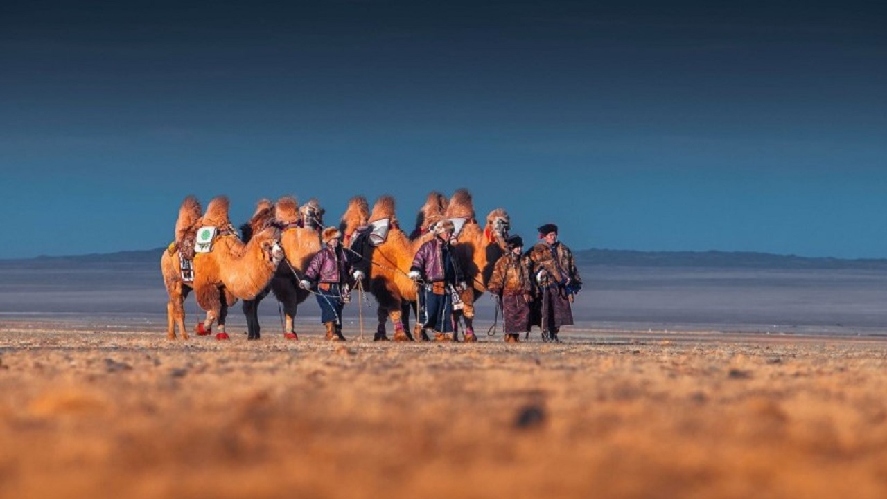 Aux portes des steppes : la Mongolie veut s’imposer sur la carte du tourisme asiatique