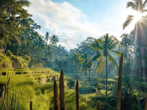 
L’Indonésie a accueilli environ 13,9 millions de visiteurs internationaux en 2024 et autour de 15 à 16 millions de touris