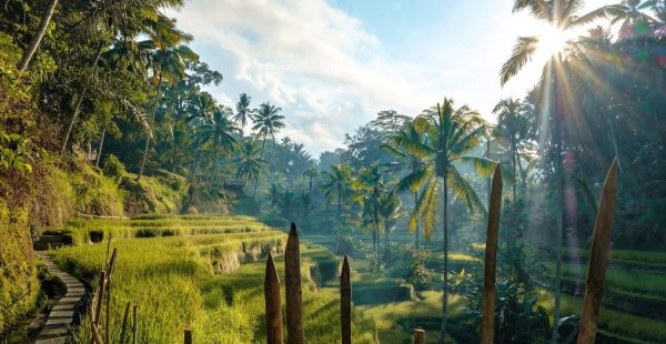 
L’Indonésie a accueilli environ 13,9 millions de visiteurs internationaux en 2024 et autour de 15 à 16 millions de touris