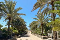 
Les îles Canaries, archipel espagnol situé dans l Océan atlantique au large du Maroc, attirent chaque année des millions de t