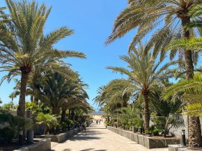 
Les îles Canaries, archipel espagnol situé dans l Océan atlantique au large du Maroc, attirent chaque année des millions de t