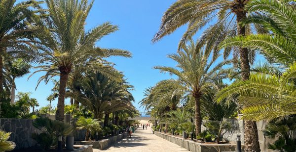 
Les îles Canaries, archipel espagnol situé dans l Océan atlantique au large du Maroc, attirent chaque année des millions de t