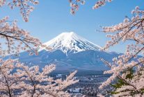 
Le Japon enregistre un afflux record de visiteurs étrangers, et les Français comptent parmi les marchés les plus dynamiques de