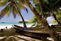 
Alors que la guerre au Moyen-Orient perturbe les routes aériennes traditionnelles via les hubs du Golfe, deux compagnies aérien