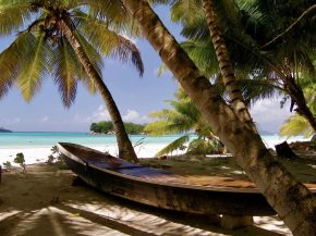 
Alors que la guerre au Moyen-Orient perturbe les routes aériennes traditionnelles via les hubs du Golfe, deux compagnies aérien