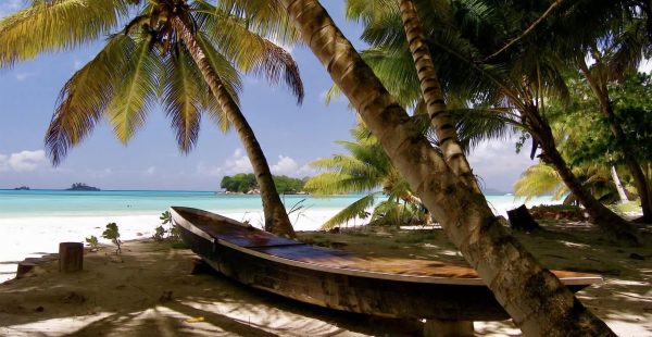 
Alors que la guerre au Moyen-Orient perturbe les routes aériennes traditionnelles via les hubs du Golfe, deux compagnies aérien