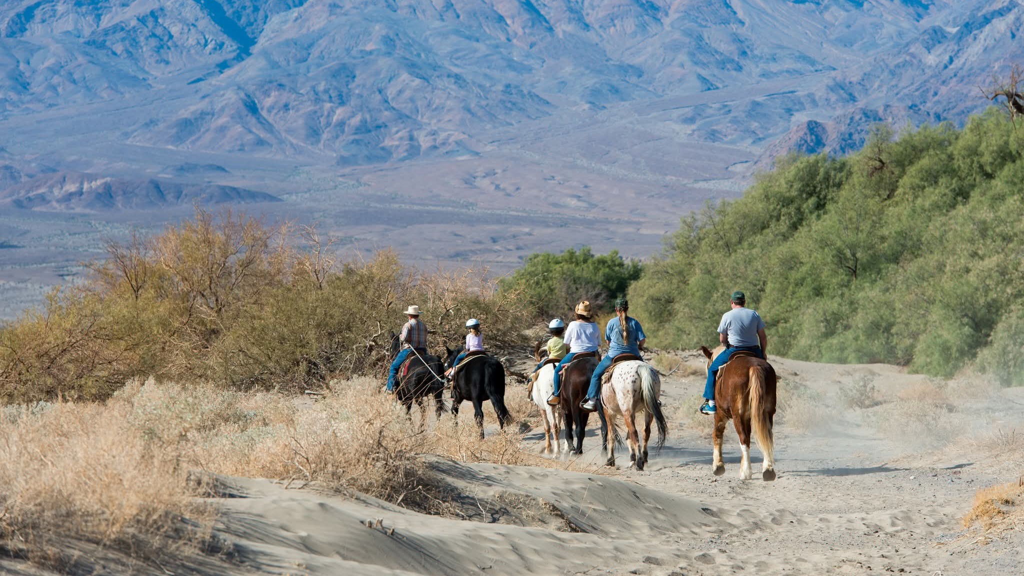 Voyage aux États-Unis : les Européens troquent New York pour l’Amérique rurale 1 Air Journal