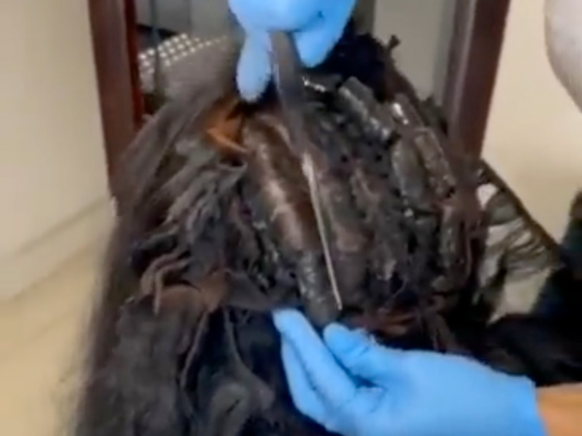 Fait divers : deux passagères portant des «narcoperruques» arrêtées à Panama (vidéo)