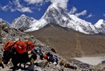 
Longtemps resté à l’écart du monde extérieur, le Népal, ancien royaume de l’Inde britannique, a conservé pendant des si