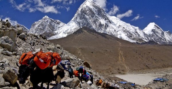 
Longtemps resté à l’écart du monde extérieur, le Népal, ancien royaume de l’Inde britannique, a conservé pendant des si