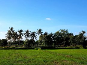 

Selon les données récoltées par HelloSafe, un comparateur d assurances de voyage, le Laos est&nbsp; cité comme la destinatio