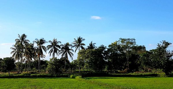 

Selon les données récoltées par HelloSafe, un comparateur d assurances de voyage, le Laos est&nbsp; cité comme la destinatio