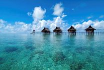 
La Malaisie s’impose comme la destination montante de l’Asie en 2025, rivalisant avec les hauts lieux touristiques comme Bali