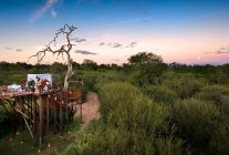 


Le tourisme sud-africain affiche une forte progression. En 2025, l Afrique du Sud a accueilli un record de 10,5 millions de tou