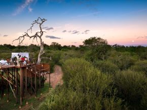 


Le tourisme sud-africain affiche une forte progression. En 2025, l Afrique du Sud a accueilli un record de 10,5 millions de tou