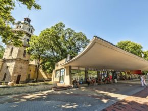 
La Bulgarie, nichée entre la mer Noire et les montagnes des Balkans, offre un mélange captivant de beauté naturelle, de riches