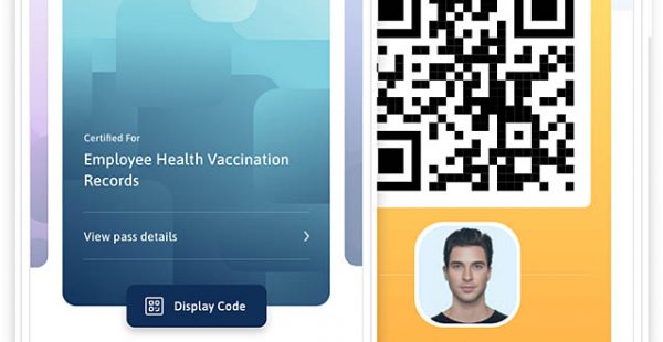 
La compagnie aérienne Air France va tester pendant quatre semaines entre Paris et les Antilles la solution de digitalisatio