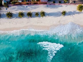 Pour souligner le Jour de la Terre 2019, la compagnie aérienne Air Canada a annoncé un partenariat avec 4ocean, un organisme à 