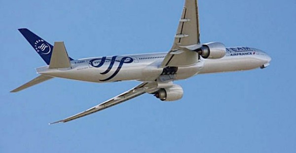 Les 19 compagnies aériennes de l’alliance SkyTeam, parmi lesquelles Air France-KLM, Delta Air Lines, China Eastern Airlines ou 