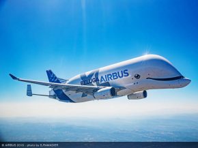
La famille Airbus BelugaXL a vu sortir au grand jour à Toulouse son dernier-né, pas encore revêtu de sa livrée au   sou