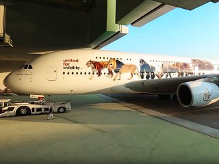 air-journal_Emirates Airlines wildflife A380