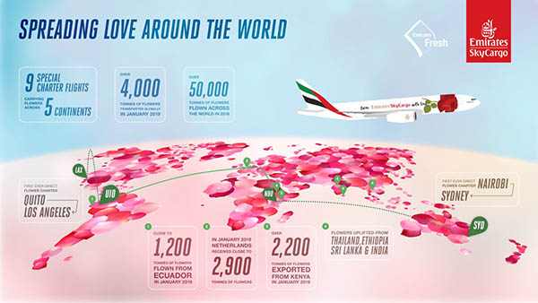 Saint-Valentin : Transavia, Vueling, La Compagnie et des roses en fret 105 Air Journal
