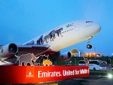 air-journal_Emirates animaux maquette